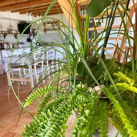 La Grange Neuve Holiday home Plougonvelin